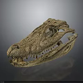 Ancient Dinosaur Skull Fossil With Detailed Skeletal Structure And Sharp Teeth 3d model