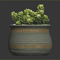 Succulent Plant with Green Leaves and White Flowers in Decorative Ceramic Pot with White Pebbles
