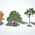 modern tree landscape tree arbor 3d model