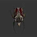 Modern scarab beetle 3d model