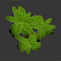 Three Palm Trees With Twisted Trunks And Green Leaves 3D Rendered Decorative Plant