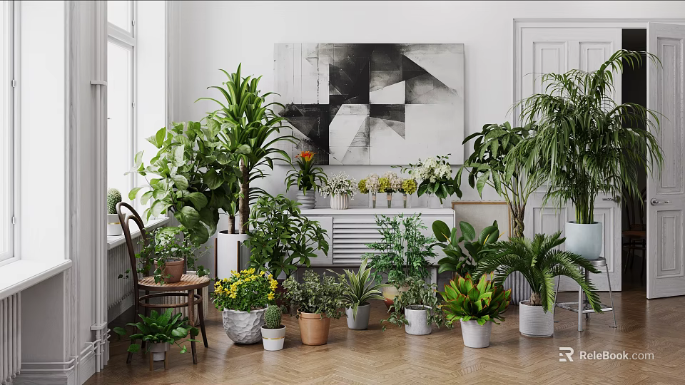 Various Potted Plants in Indoor Space with Diverse Flower Pots and Green Decorative Elements 3d model 