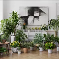 Various Potted Plants in Indoor Space with Diverse Flower Pots and Green Decorative Elements