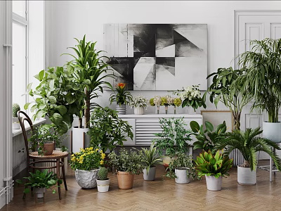 Various Potted Plants in Indoor Space with Diverse Flower Pots and Green Decorative Elements 3d model