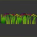 Colorful Garden Flowers With Green Stems And Vibrant Red Yellow Purple Petals