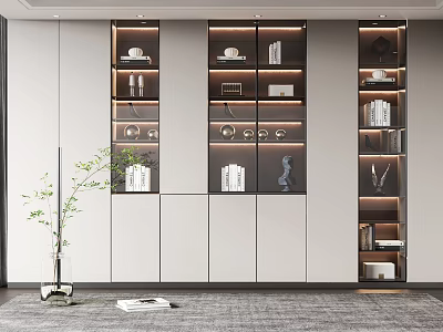 Modern Decorative Cabinet with LED Lighting Books and Decorative Items Interior Design 3d model