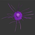 Purple Rod Shaped Bacteria With Hair Like Fimbriae And Flagella In 3D Rendered Microscopic View