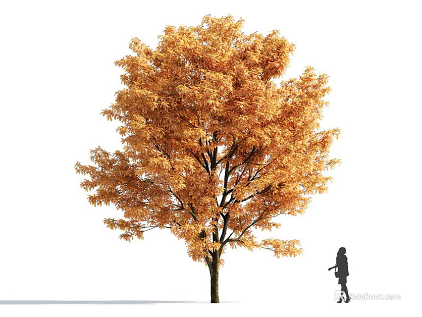 Golden Leaf Arbor With Pedestrian Walking Beside In White Background 3d model 