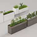 Various Green Plants and Cacti in Modern White and Gray Planters