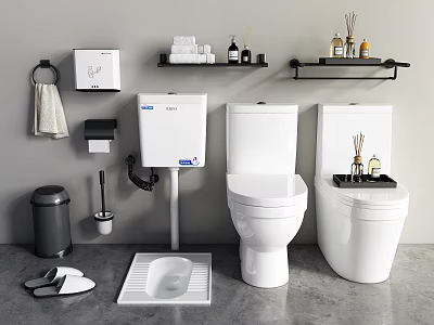 Modern White Toilets With Toilet Paper Holder Trash Bin Towel And Shelves With Toiletries 3d model