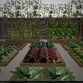 Potted Bonsai Plants In Garden With Wooden Fence And Vegetable Planting Boxes