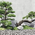 New Chinese style landscape sketch pine tree welcome pine landscape tree withered stone courtyard 3d model