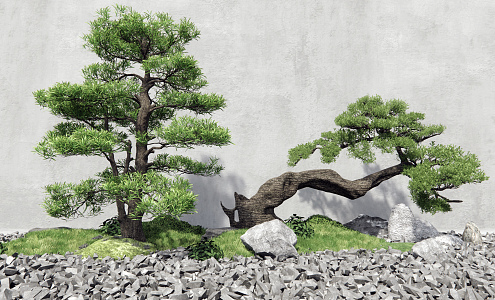 New Chinese style landscape sketch pine tree welcome pine landscape tree withered stone courtyard 3d model