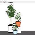 Modern potted combination 3d model
