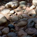 Large Stones And Natural Wooden Logs With Smooth Surface For Garden Decor