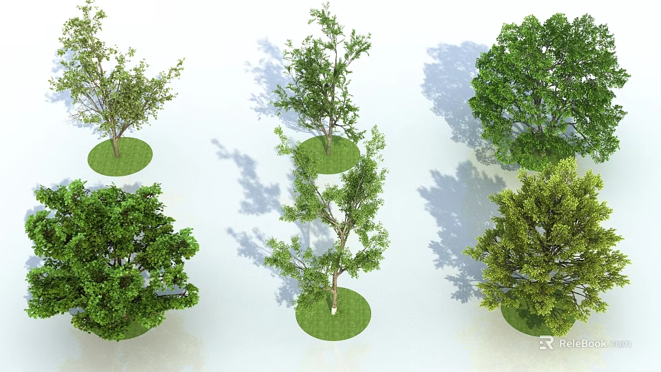 Various Types of Trees Growing on Circular Grass Patches with Natural Shadows on White Background 3d model 