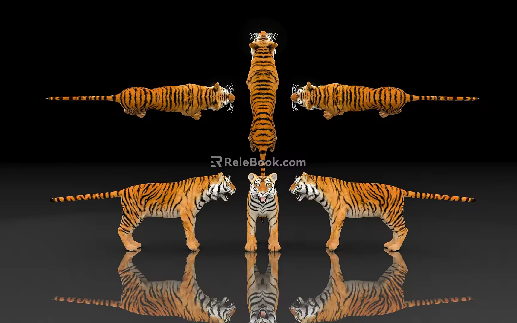 Tiger Siberian Tiger Protected Animals Specimen of Endangered Animals Biology of Terrestrial Beasts Museum Exhibition Hall Zoo Display 3d model