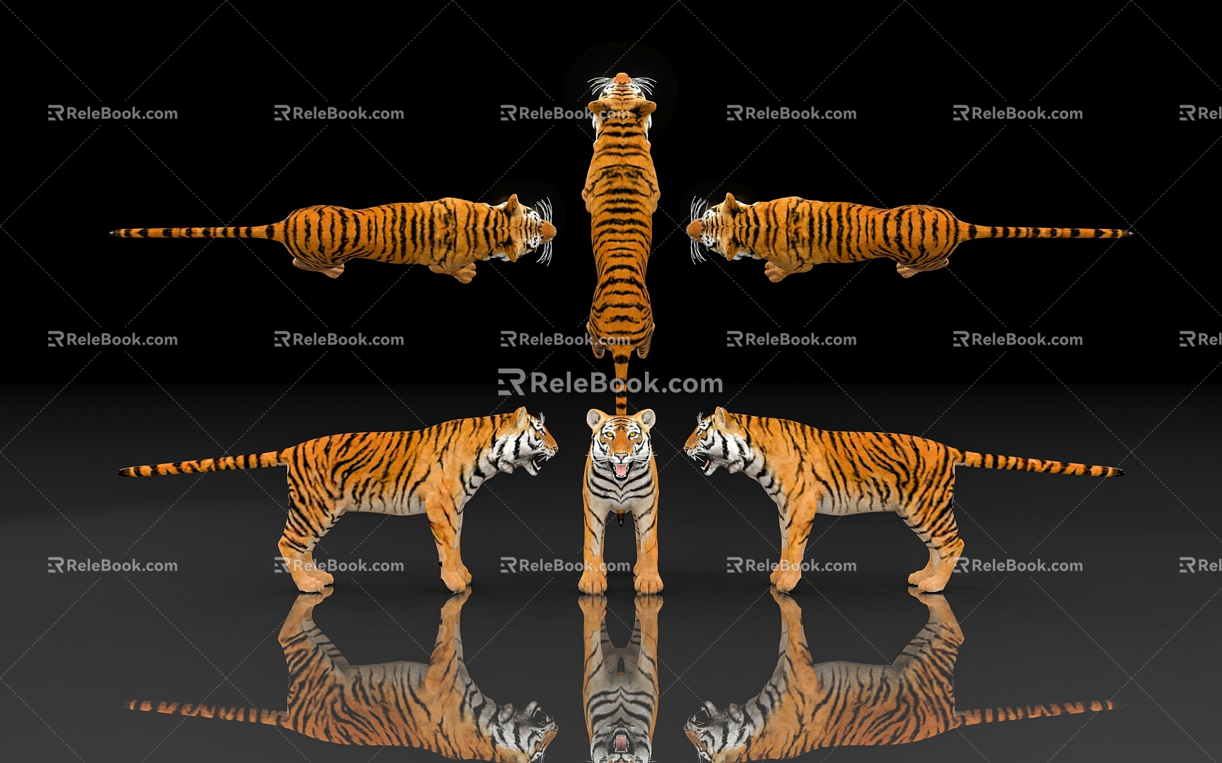 Tiger Tiger Siberian Tiger Protected Animals Specimen of Endangered Animals Biology of Terrestrial Beasts Museum Exhibition Hall Zoo Display 3d model