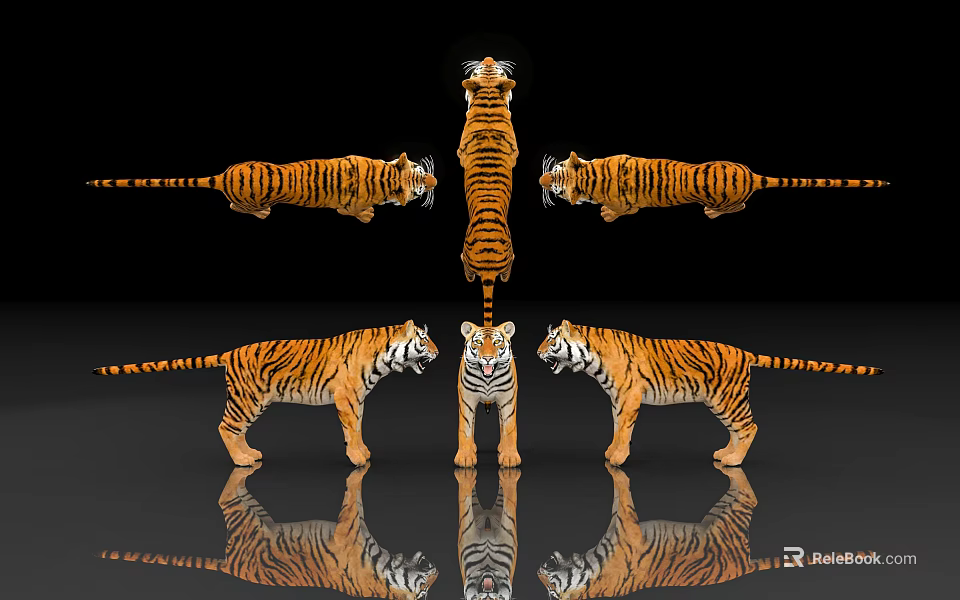 Reptiles In Various Postures On Black Background With Clear Reflections 3d model 