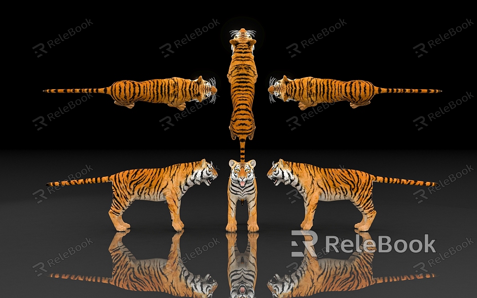 Tiger Tiger Siberian Tiger Protected Animals Specimen of Endangered Animals Biology of Terrestrial Beasts Museum Exhibition Hall Zoo Display model