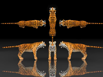 Tiger Siberian Tiger Protected Animals Specimen of Endangered Animals Biology of Terrestrial Beasts Museum Exhibition Hall Zoo Display 3d model