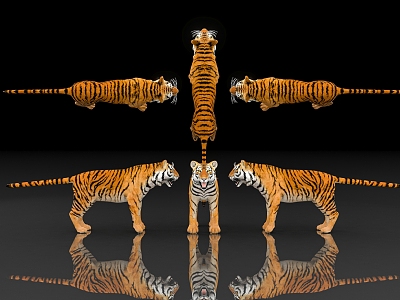 Tiger Siberian Tiger Protected Animals Specimen of Endangered Animals Biology of Terrestrial Beasts Museum Exhibition Hall Zoo Display model