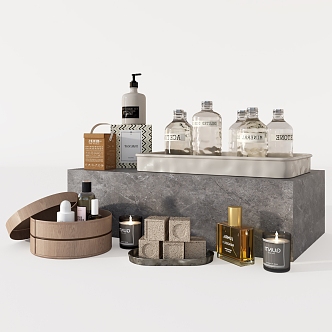 Modern Toiletries 3d model