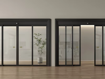 Modern Glass Sliding Doors With Black Frames And Green Plant On Wooden Floor 3d model