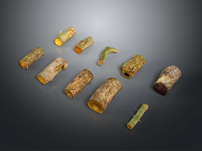 Rustic Wood and Stone Artisan Pieces with Diverse Shapes and Natural Textures 3d model