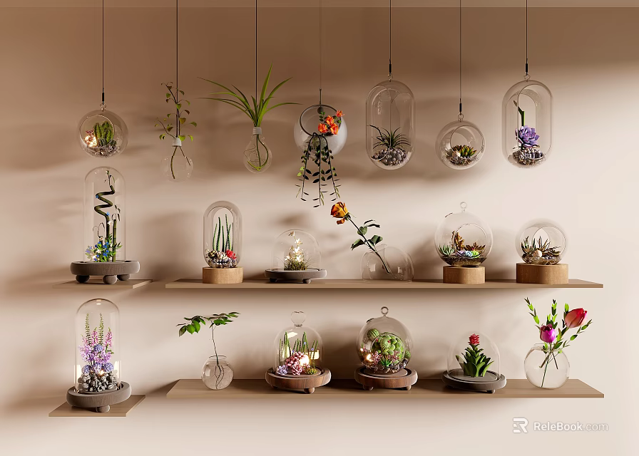 Hanging Glass Terrariums And Shelf Plants For Indoor Decorative 3d model 