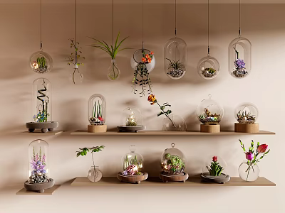 Hanging Glass Terrariums And Shelf Plants For Indoor Decorative 3d model