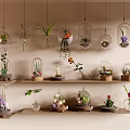 Hanging Glass Terrariums And Shelf Plants For Indoor Decorative