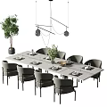 Modern Rectangle Dining Table Set With Gray Chairs Pendant Light And Green Plant 3d model