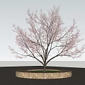 Tree Featuring Slender Trunk Sparse Branches Circular Stone Base Green Grass And Gray Paved Ground 3d model