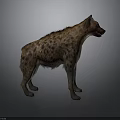 Spotted Hyena Standing in Side View With Brown Fur Blood on Mouth and Gray Background