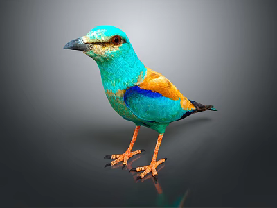 Vibrant Turquoise And Orange Bird With Orange Claws On Black Surface Dark Background 3d model