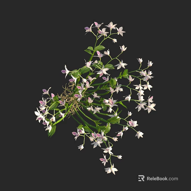 Delicate White And Pink Small Flowers With Green Leaves In Bushy Cluster 3d model 
