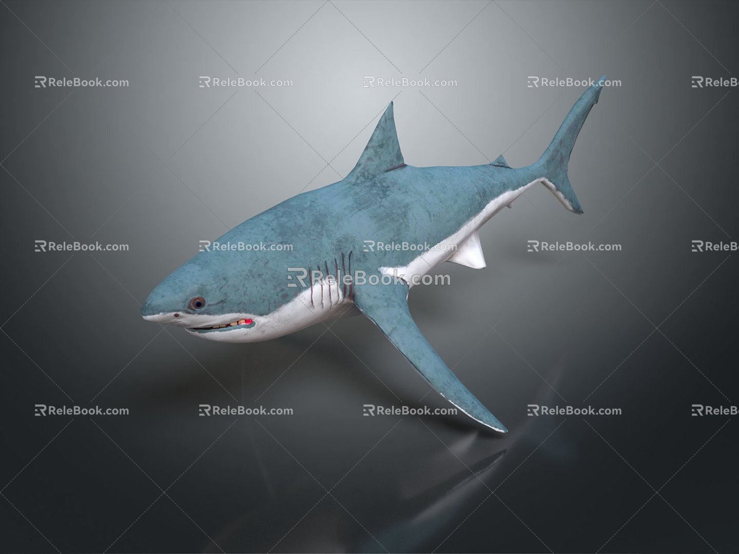 Modern shark great white shark whale shark hammerhead shark 3d model