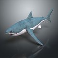 Modern shark great white shark whale shark hammerhead shark 3d model