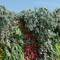 Living Plant Wall Featuring Colorful Purple Yellow Red Plants Vibrant Greenery And Decorative Outdoor Design