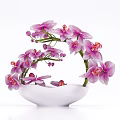 Beautiful Purple Orchid Flowers In White Ceramic Vase With Curved Branches Design