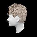 Realistic Human Head Model With Light Brown Curly Hair And Facial Features