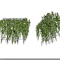 Modern Decorative Chandelier With Hanging Green Vines And White Accents For Indoor Home Decoration