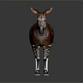 Red Brown Striped Zebra Like Animal Standing On Gray Surface With White Legs