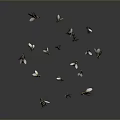 Group of Flies Flying Against Gray Background in Mid Air