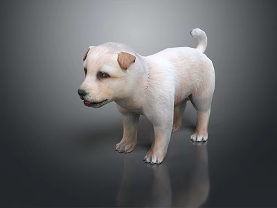 Cute White Puppy With Brown Ears Standing On Dark Background With Reflection 3d model