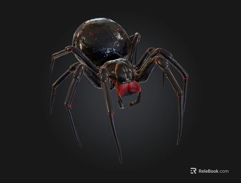 Black Spider With Shiny Body Red Eyes And Long Thin Legs On Dark Background 3d model 