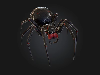 Black Spider With Shiny Body Red Eyes And Long Thin Legs On Dark Background 3d model