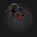 Black Spider With Shiny Body Red Eyes And Long Thin Legs On Dark Background