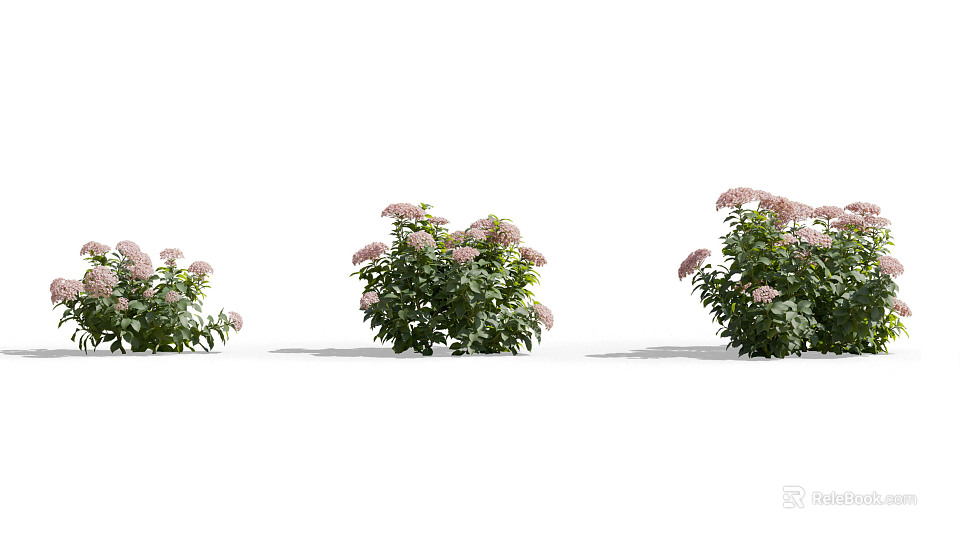 Beautiful Lush Shrubs With Pink Flowers And Green Leaves In Outdoor Garden 3d model 